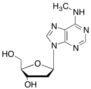 2'-Deoxy-N-methyladenosine