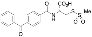 Benzophenone-4-carboxamidocysteine Methanethiosulfonate