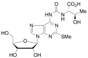 2-Methylthio-N6-threonylcarbamoyladenosine