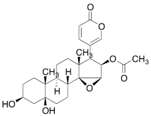 Cinobufotalin