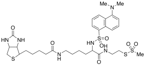 (N-Dansyl)biocytinamidoethyl Methanethiosulfonate