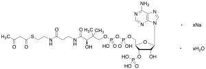 Acetoacetyl Coenzyme A Sodium Salt Hydrate  (>90%)