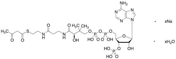 Acetoacetyl Coenzyme A Sodium Salt Hydrate  (>90%)