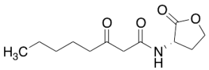 N-3-oxo-octanoyl-L-Homoserine lactone