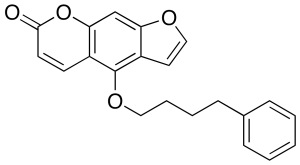 Psora 4