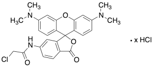 6-Chloroacetamidotetramethyl Rhodamine Hydrochloride (>90%)