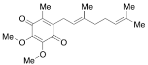 Coenzyme Q2