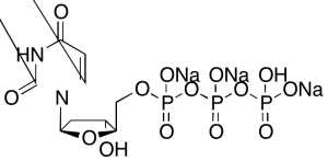 2'-Deoxyuridine-5'-triphosphate Trisodium Salt >90% (contains ammonium salt)
