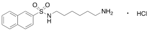 N-(6-Aminohexyl)-2-naphthalenesulfonamide Hydrochloride