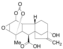(2bS,5S,8S,9S)-5-Hydroxy-9-methyl-6-methylene-11-oxododecahydro-1aH-2,9-(epoxymethanooxy)-5,7a-methanocyclohepta[1,2]indeno[5,6-b]oxirene-8-carboxylic Acid