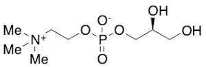 (S)-a-Glycerophosphocholine