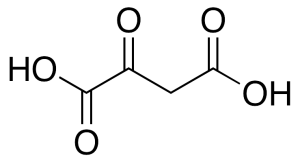 Oxaloacetic Acid