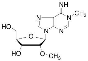 N1,O2'-Dimethyladenosine