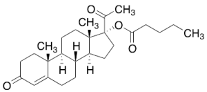 17Alpha-Hydroxyprogesterone Valerate