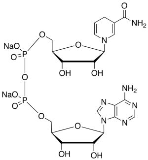 b-NADH Disodium Salt