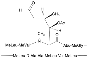 6-[(3R,4R)-3-(Acetyloxy)-N,4-dimethyl-6-oxo-L-norleucine] Cyclosporin A