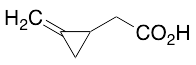 2-Methylenecyclopropaneacetic Acid