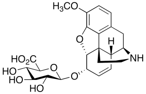 Norcodeine O-Beta-D-Glucuronid