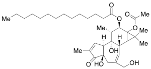 4Beta-Phorbol 12-Myristate 13-Acetate
