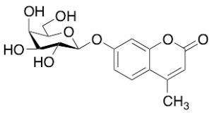 4-Methylumbelliferyl beta-D-Galactopyranoside