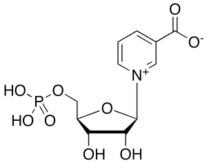 Beta-Nicotinic Acid Mononucleotide