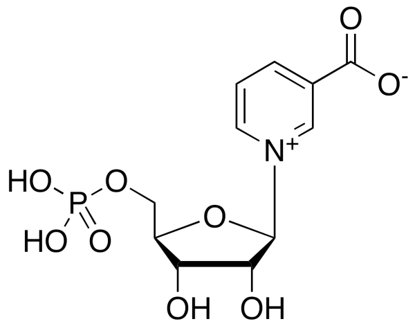 Beta-Nicotinic Acid Mononucleotide