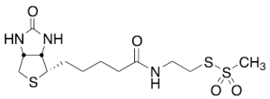 N-Biotinylaminoethyl Methanethiosulfonate