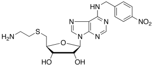 SAENTA