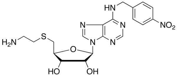SAENTA