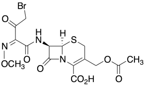 Cefotaxime Bromoacetyl Analogue