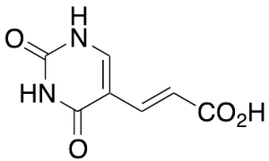 (E)-5-(2-Carboxvinyl)uracil