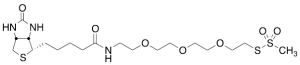 1-Biotinylamino-3,6,9-trioxaundecane-11-yl-methanethiosulfonate