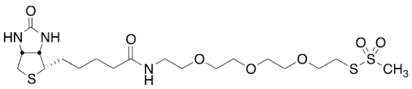 1-Biotinylamino-3,6,9-trioxaundecane-11-yl-methanethiosulfonate