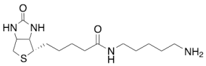 5-(Biotinamido)pentylamine
