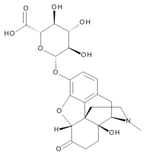 Oxymorphone 3-b-D-Glucuronide