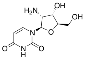 2'-Amino-2'-deoxyuridine