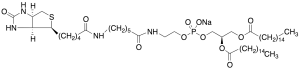 1,2-Dipalmityl-sn-glycero-3-Phosphoethanolamine-N-(cap biotinyl) Sodium Salt