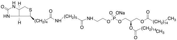 1,2-Dipalmityl-sn-glycero-3-Phosphoethanolamine-N-(cap biotinyl) Sodium Salt