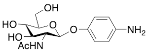 4-Aminophenyl 2-Acetamido-2-deoxy-Beta-D-glucopyranoside