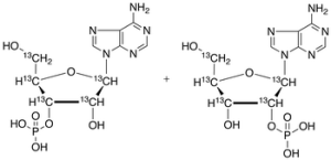 Adenosine Monophosphate (mixture of 2'(3')-phosphate isomers)-13C5 Sodium Salt