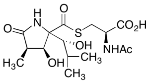 (+)-Lactacystin