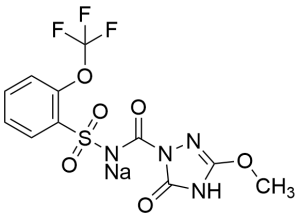 4-Desmethyl Flucarbazone Sodium Salt