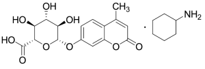 7-Hydroxy-4-Methyl Coumarin Glucuronide Cyclohexanamine Salt