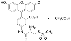 (R)-2-Amino-2-[(5-fluoresceinyl)aminocarbonyl]ethyl Methanethiosulfonate, Trifluoroacetic Acid Salt