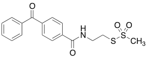 Benzophenone-4-carboxamidoethyl Methanethiosulfonate
