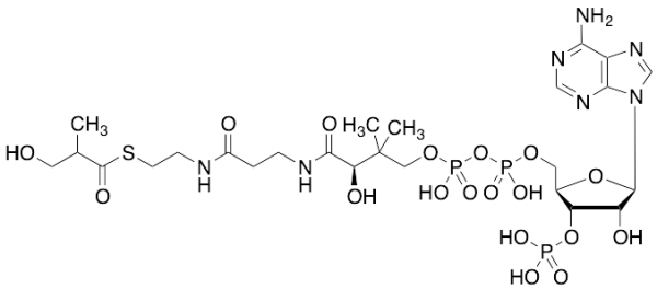 3-Hydroxyisobutyryl CoA