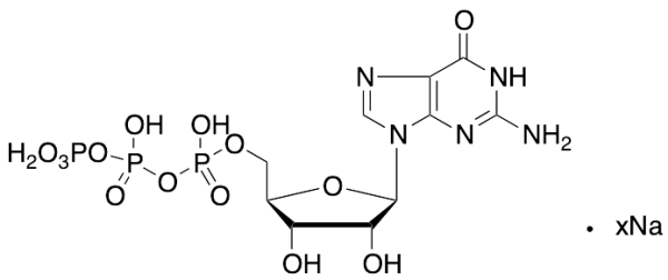 Guanosine 5'-(tetrahydrogen triphosphate) Sodium Salt (>80%)