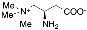 (R)-Amino Carnitine