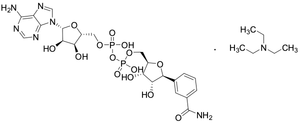 Benzamide Adenine Dinucleotide TEA Salt