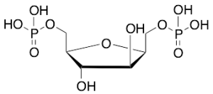 2,5-Anhydro-D-glucitol-1,6-diphosphate